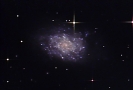 NGC 7793 Spiral Galaxy
