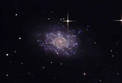 NGC 7793 Spiral Galaxy